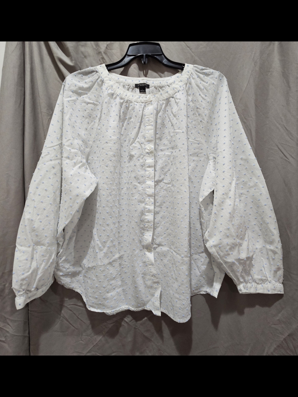 Ann Taylor White Blouse with Light Blue Dot Print
